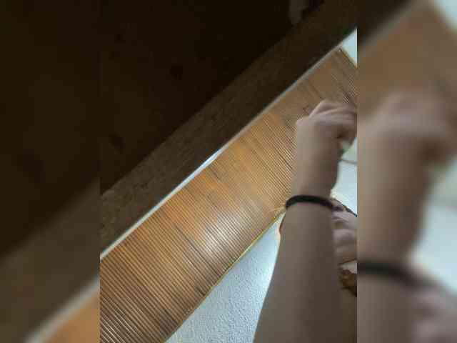 Pamela-Velvet webcam