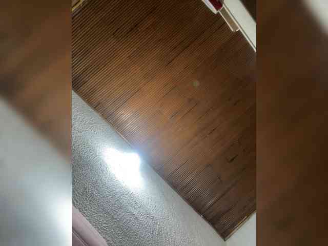 Pamela-Velvet webcam