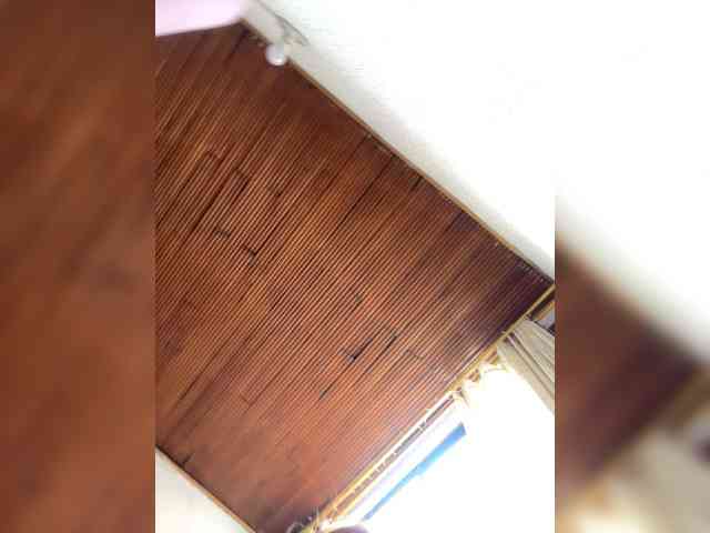 Pamela-Velvet webcam