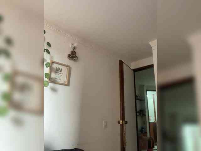 Pamela-Velvet webcam