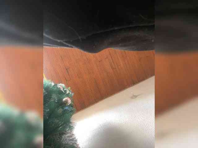 Pamela-Velvet webcam