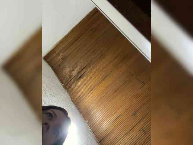 Pamela-Velvet Pamela-Velvet