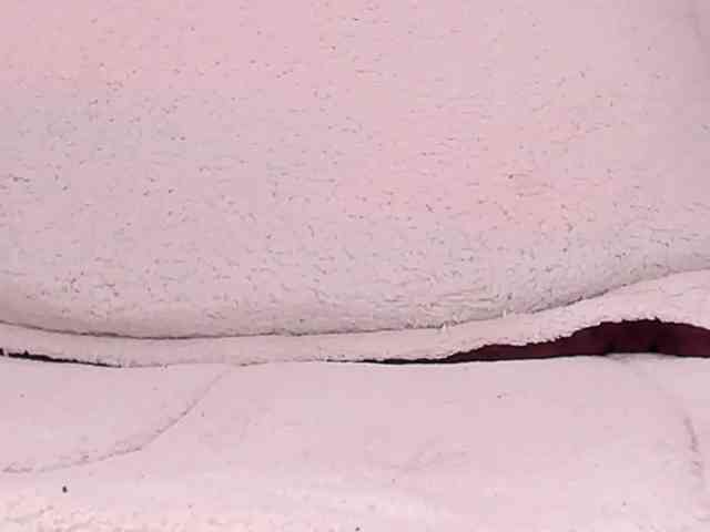 Pamela-Velvet Pamela-Velvet