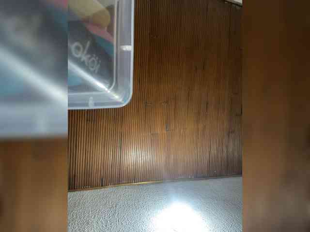 Pamela-Velvet webcam