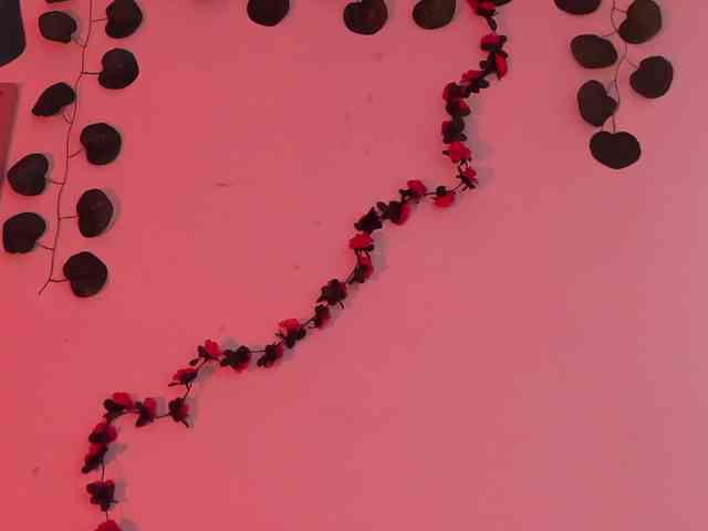 Pamela-Velvet webcam