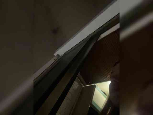 Pamela-Velvet Pamela-Velvet