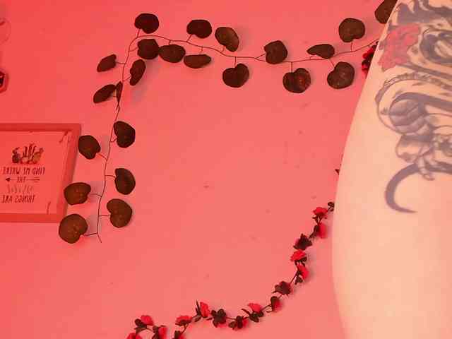 Pamela-Velvet webcam