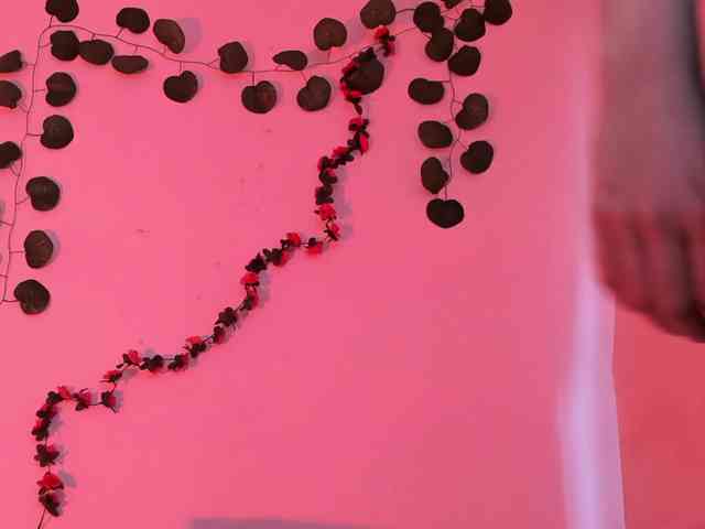 Pamela-Velvet webcam