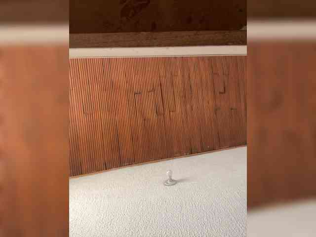 Pamela-Velvet webcam