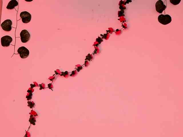 Pamela-Velvet Pamela-Velvet