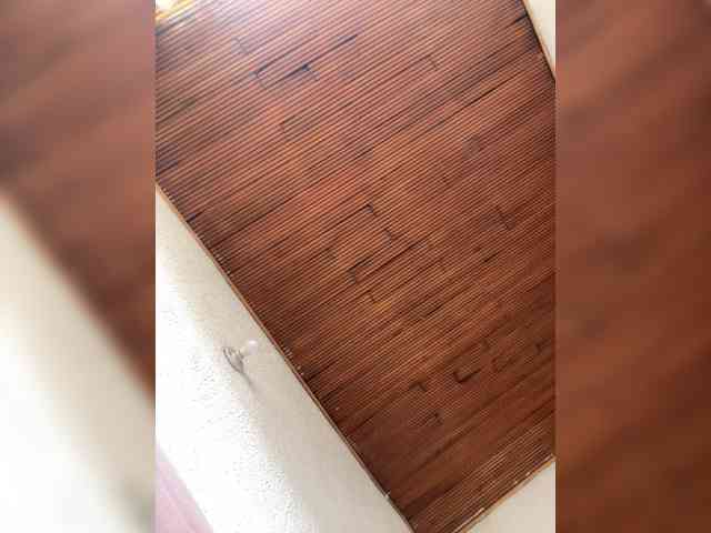 Pamela-Velvet webcam