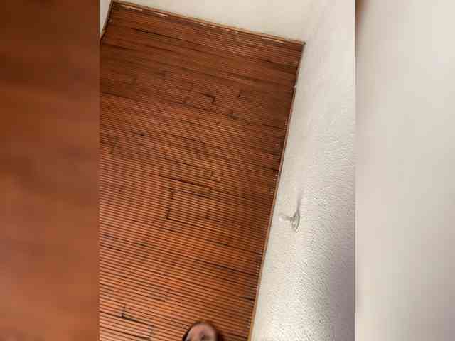 Pamela-Velvet webcam