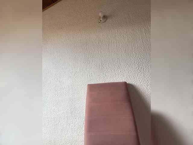 Pamela-Velvet webcam