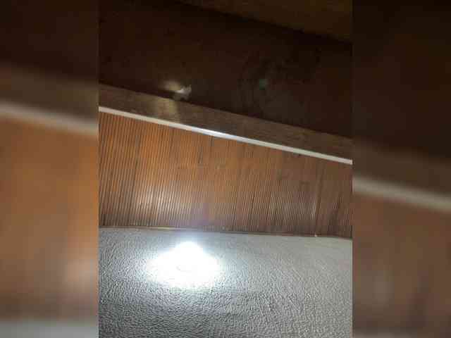 Pamela-Velvet webcam