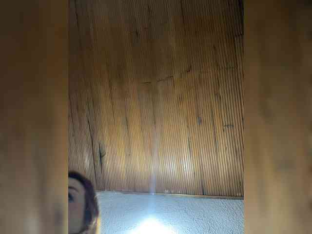 Pamela-Velvet Pamela-Velvet