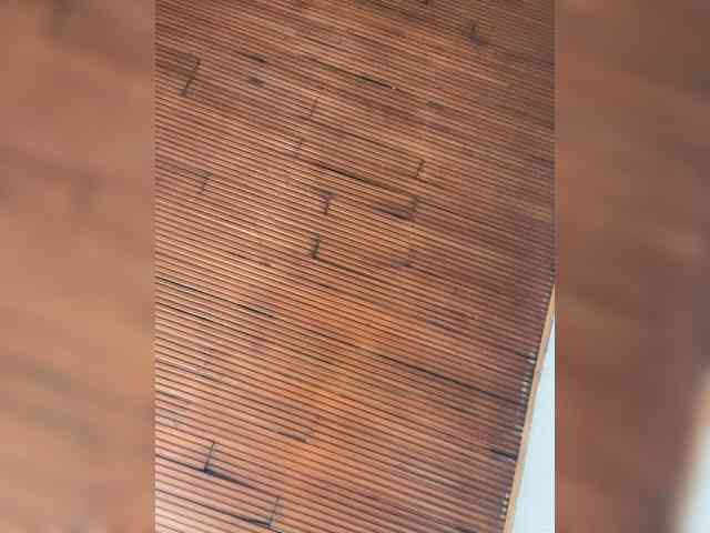 Pamela-Velvet webcam