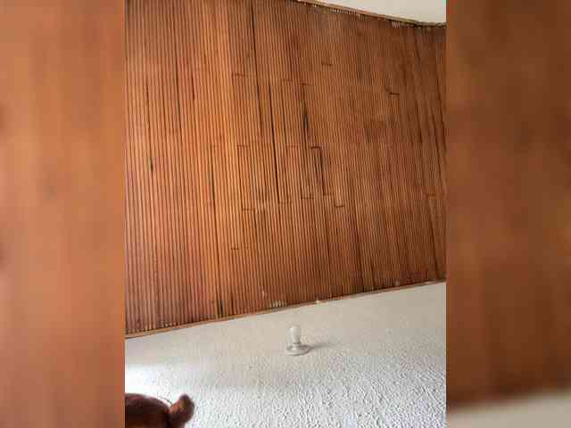 Pamela-Velvet Pamela-Velvet