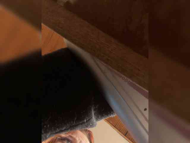 Pamela-Velvet webcam