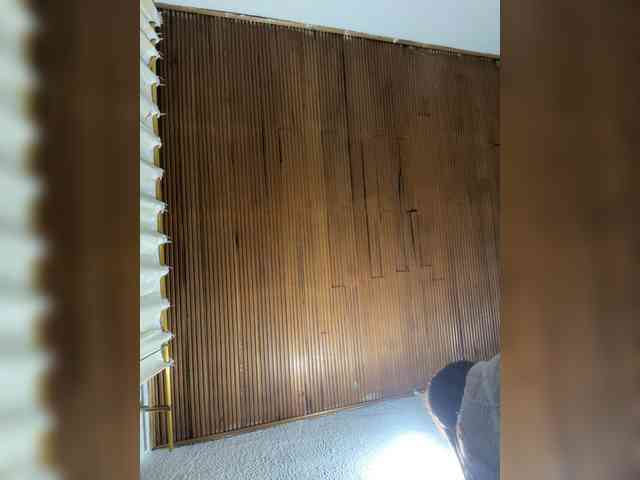 Pamela-Velvet webcam