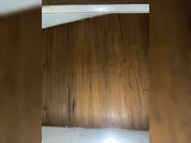 Pamela-Velvet webcam