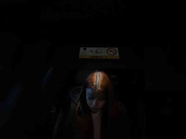 Pamela-Velvet webcam