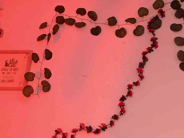 Pamela-Velvet webcam