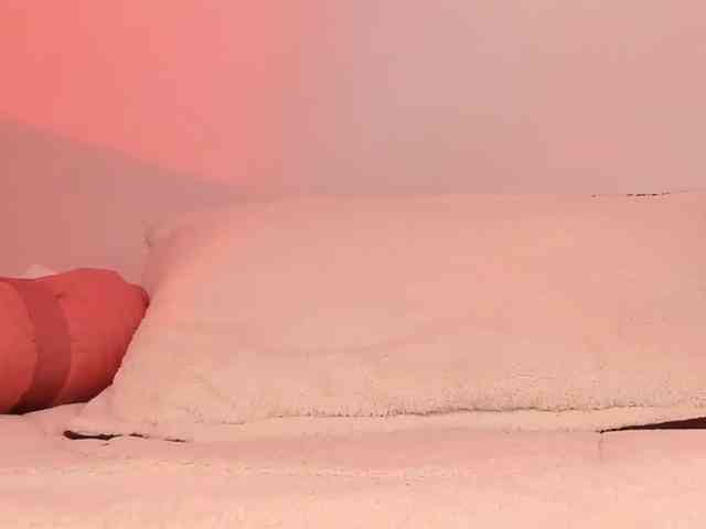 Pamela-Velvet Pamela-Velvet