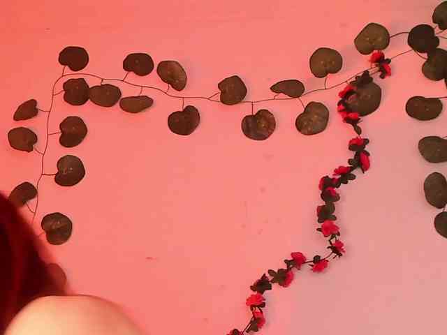 Pamela-Velvet Pamela-Velvet