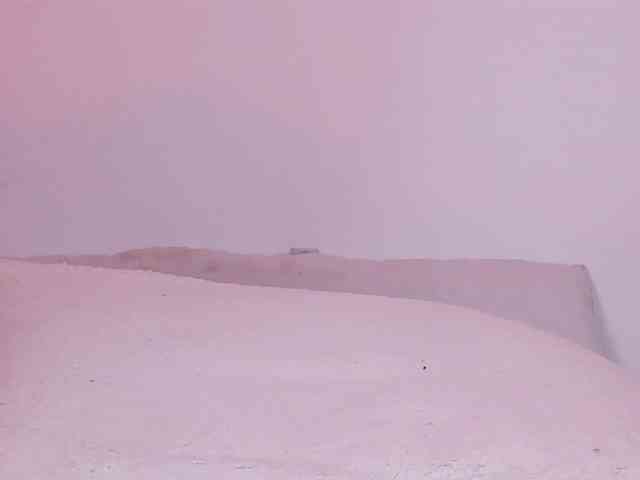 Pamela-Velvet Pamela-Velvet