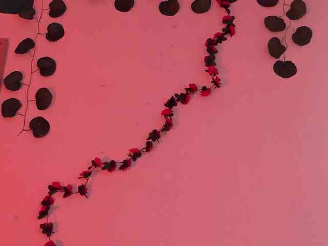 Pamela-Velvet webcam