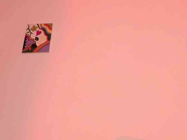 Pamela-Velvet webcam