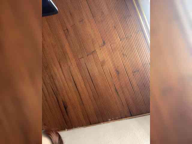 Pamela-Velvet Pamela-Velvet