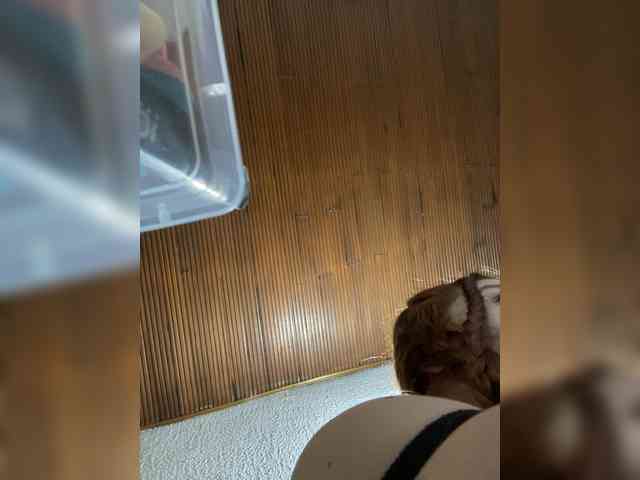 Pamela-Velvet webcam