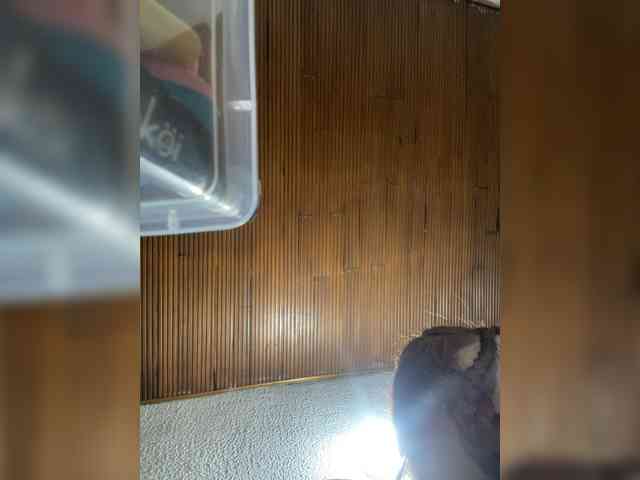 Pamela-Velvet webcam