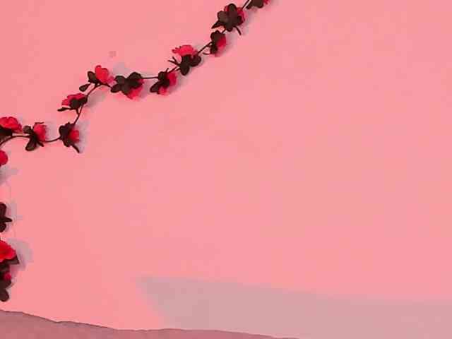 Pamela-Velvet webcam