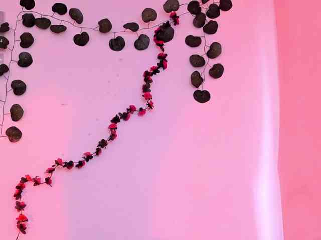 Pamela-Velvet webcam