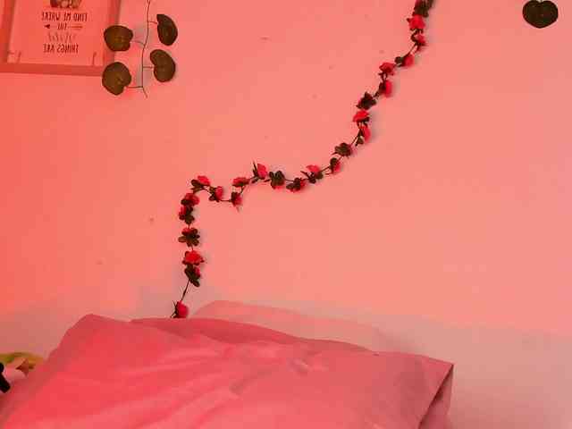 Pamela-Velvet Pamela-Velvet