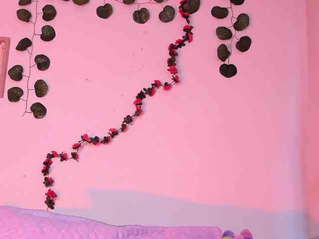 Pamela-Velvet webcam