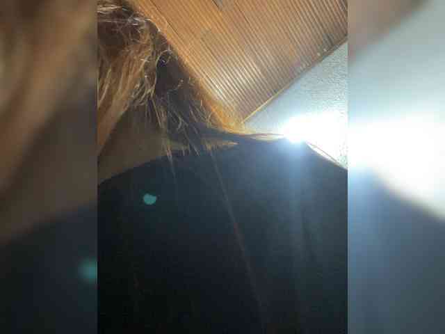 Pamela-Velvet webcam