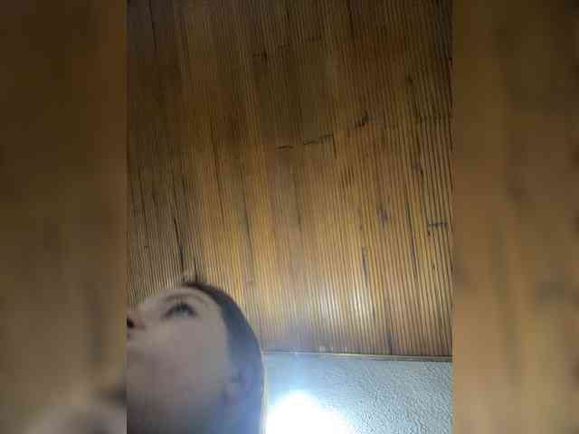 Pamela-Velvet webcam