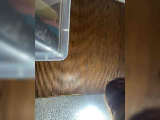 Pamela-Velvet webcam