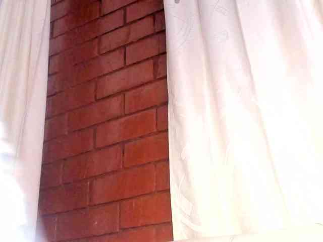 Pamela-Velvet webcam