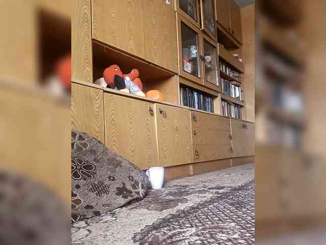 Viktor96961 Viktor96961