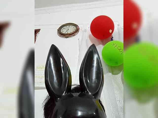 AfroditaMilf69 webcam