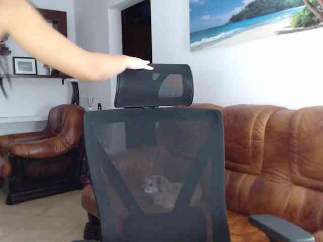 HeavenQueen webcam
