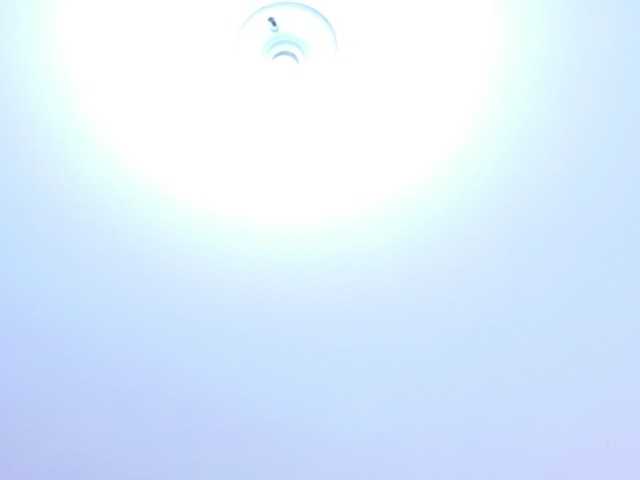 IrissBloom's BongaCams show and profile