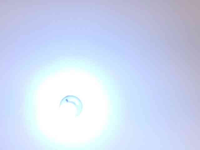 IrissBloom IrissBloom