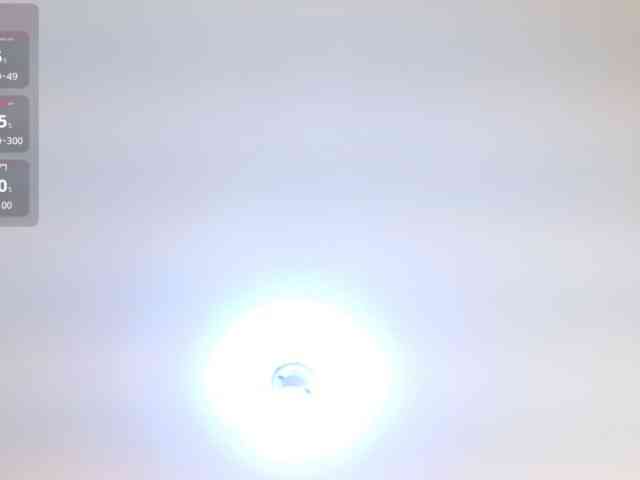 IrissBloom IrissBloom