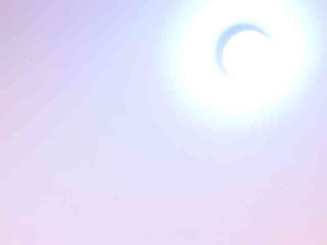 IrissBloom IrissBloom