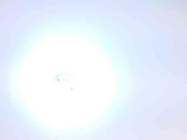 IrissBloom IrissBloom